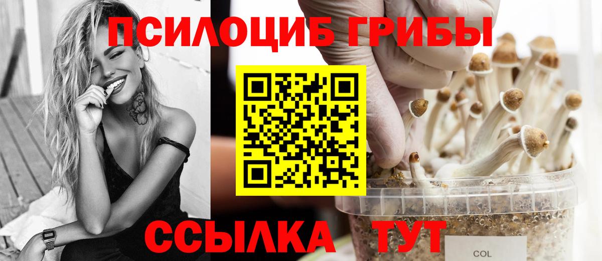 Псилоцибиновые грибы прущие грибы Краснодар