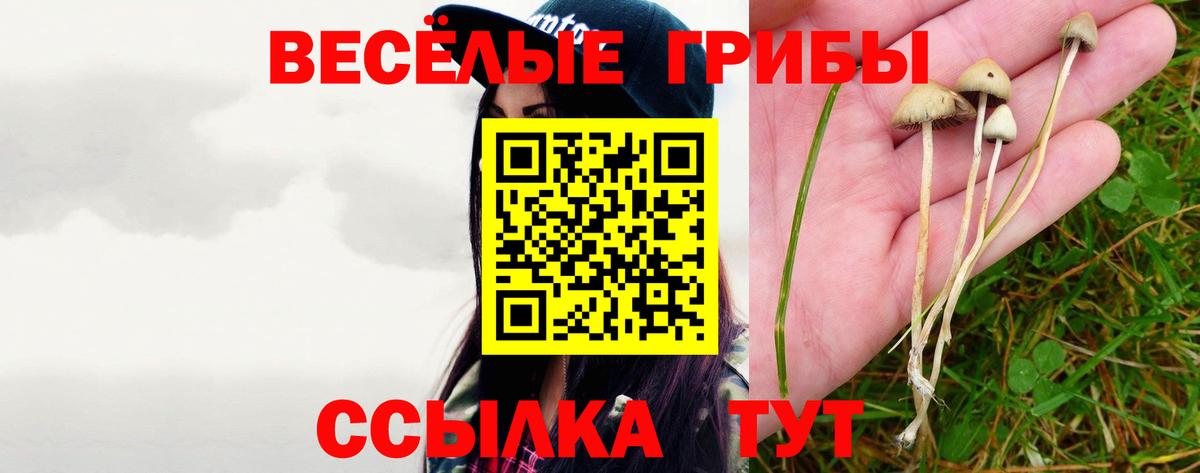 Краснодар  купить   Вход с VPN  Галлюциногенные грибы GOLDEN TEACHER 