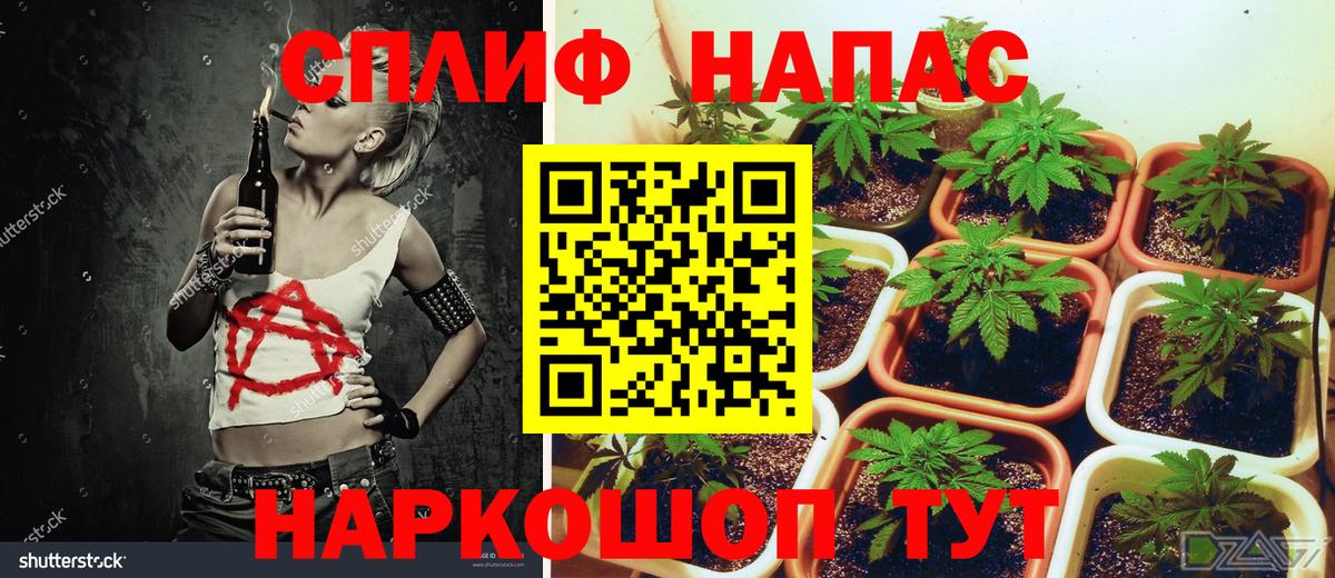 МАРИХУАНА ГИДРОПОН Краснодар